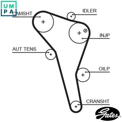 TIMING BELT 5622XS FOR VW PANEL/II/Box/Body/MPV VAN/SHARAN/CADDY FLIGHT DERBY - Image 1 of 4
