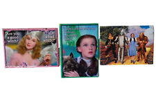 Wizard of Oz Refrigerator Fridge Magnets Set Collectible Lot of 3