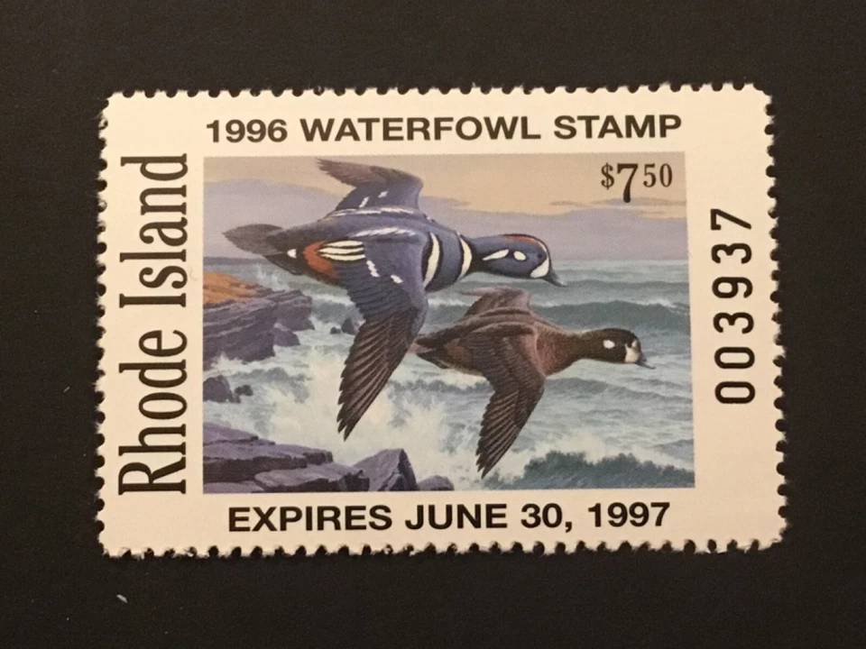 ICOLLECTZONE US Rhode Island 1996 #8 Duck Stamp VF NH - Image 1 of 1