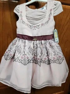 Girls' Disney Sleeping Beauty Dress - Pink Dress Size 3T - Disney Store New - Picture 1 of 5