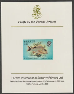 BELIZE 1984 MARINE LIFE BLUE-STRIPED GRUNT on  FORMAT INTERNATIONAL PROOF CARD - Picture 1 of 2