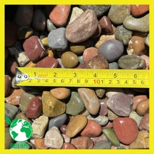 20 Lbs Pastel River Rocks Size 1" to 2", Gravel Stone Pebbles Garden Landscaping - Picture 1 of 6