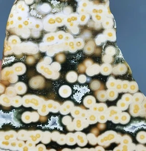 Collection ! Amazing Orbicular Ocean Jasper Agate Small Druzy Slab Reiki Stone - Picture 1 of 9