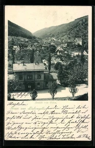 Liebenzell, Ansichtskarte, Ansicht der Kleinstadt von Osten 1900  - Picture 1 of 2