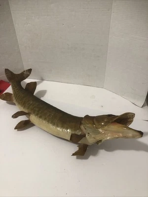 "MONTAJE DE PARED ALMIZCLE TIGRE TAXIDERMIA DE PECES REALES DE COLECCIÓN Thaddeus Lake Ontario" Foto 1 de 4