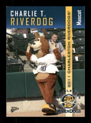 2011 MultiAd Sports Charleston Riverdogs 34 Charlie T. Riverdog Mascot BXCP24 - Image 1 of 2