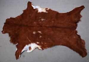 New Goat hide Rug Hair on Area Rug Size 34"x22" Animal Leather Goat Skin U-2674