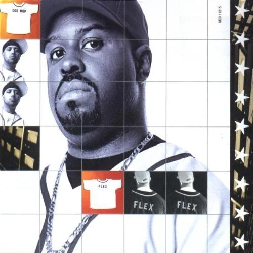 Flip Squad Allstar DJs (1998) Doo Wop, Mark Ronson, Funkmaster Flex, Biz .. [CD] - Bild 1 von 1