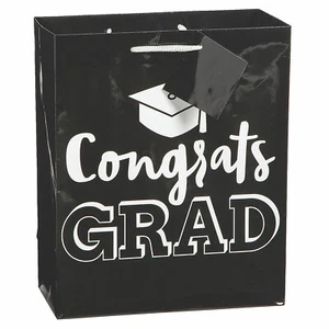 Medium Graduation Gift Bags With Tag, Party Supplies, 12 Pieces - Picture 1 of 1