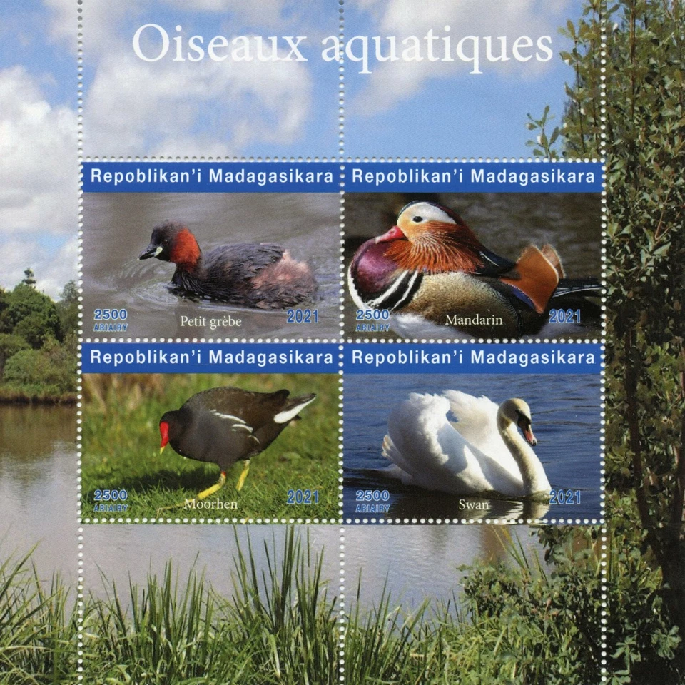 Madagascar Water Birds on Stamps 2021 MNH Mandarin Ducks Grebes Swans 4v M/S I - Image 1 of 1