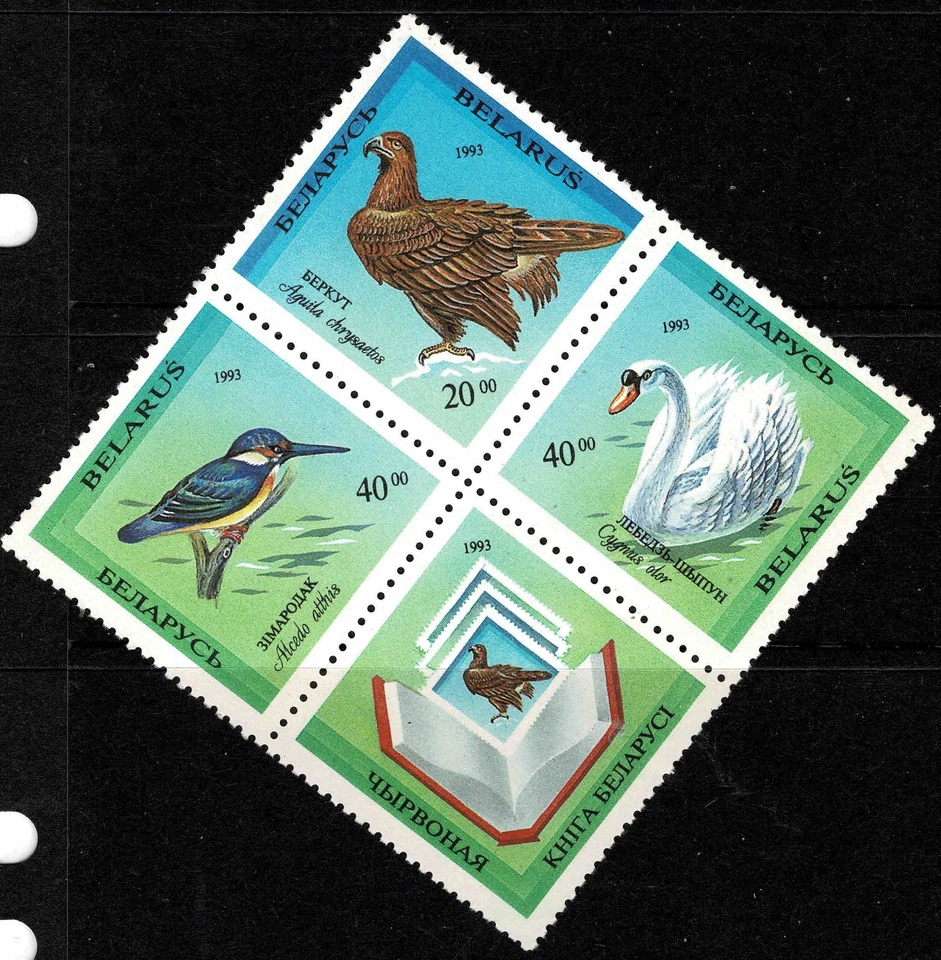 Belarus 1994 Rare Birds of Belarus - Complete Set Of Four Stamps - MNH — 第 1/1 张图片