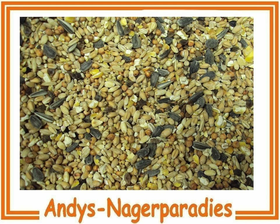 Streufutter  10kg Wildvogelfutter Ganzjahresvogelfutter Vogelfutter Mischfutter - Bild 1 von 1