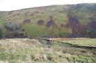 Photo 6x4 The River Alwin Clennell With the hillside of The Dodd behind. c2011