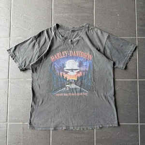 Vintage Harley Davidson Big Boar Graphic Tee Grey Flames Biker Shirt USA - Picture 1 of 16