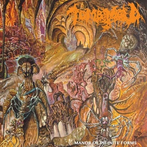 Tomb Mold Manor Of Infinite Forms (Vinyl) - Picture 1 of 1