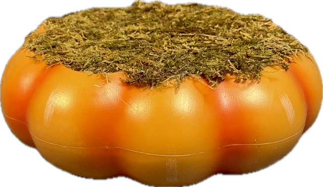 Target Bullseye Playground Fall /Halloween 2023 Pumpkin & Moss Platform 9" "