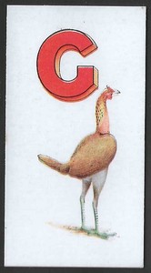 OGDENS-POULTRY ALPHABET 1924-#07- GAME FOWL 