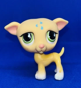 Littlest Pet Shop LPS Lágrima Galgo Perro Bronceado con Ojos de Lágrima Verde #875 - Imagen 1 de 5