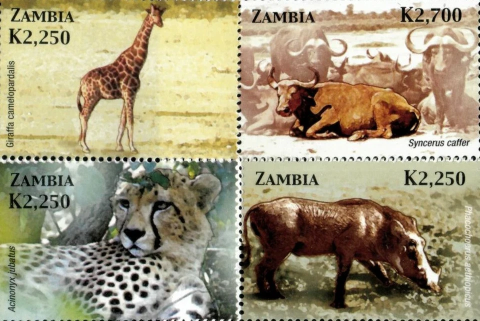 Zambia 2005 - Wild Animals of Africa - Set of 4 Stamps - Scott #1039-42 - MNH - Image 1 of 1
