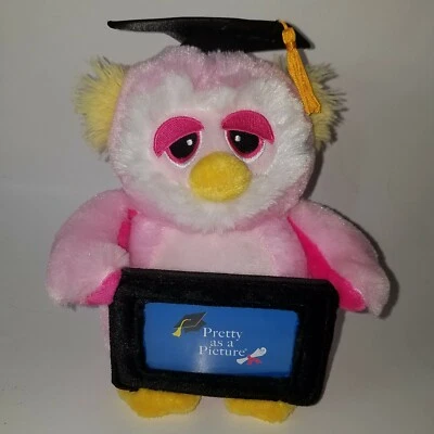 Dan Dee Pink Owl Graduado Graduación Peluche Soporte Marco Peluche Juguete Regalo Foto 1 de 4