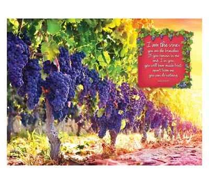 CHRISTIAN PUZZLE: God's Fruitfulness Promise Puzzle (300 Pieces) - Picture 1 of 6