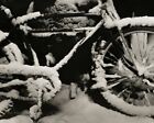 1938/72 ANSEL ADAMS Vintage Yosemite Bicycle Snow Winter Bike Photo Art 8X10