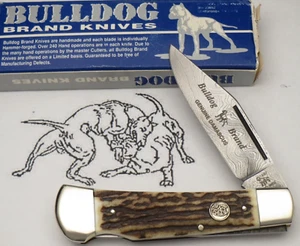 1997 BULLDOG BRAND Solingen Single Dog Stamp Lockback Knife Nice Stag - DAMASCUS - Picture 1 of 14