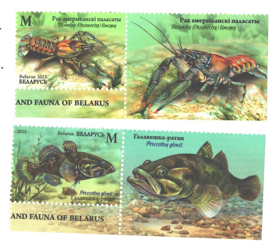Belarus 2023  Invasive species  fauna  , fish , 2 v. with labels, MNH - Image 1 of 1