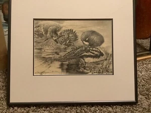 FRAMED ORIGINAL PENCIL DRAWING GOLDENEYES LARRY HAYDEN DUCK STAMP PRINT - Picture 1 of 6