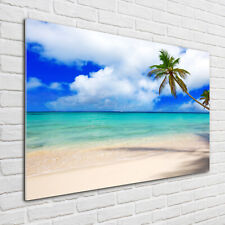 Acrylglas-Bild Wandbilder Druck 100x70 Deko Landschaften Karibischer Strand