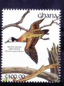 Ghana 1991 MNH, Water Birds, White Faced Tree Duck - Picture 1 of 1