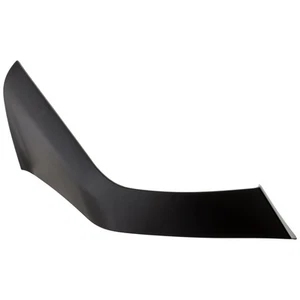 Bumper Face Bar Trim Molding Step Pad Front  68271570AA for Ram 1500 Classic - Picture 1 of 10