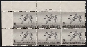 US RW12 $1 Duck Hunting Permit of 1945 Mint Plate Block of 6 XF OG NH SCV $600 - Picture 1 of 2