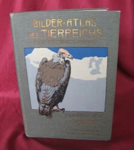 1913 ANTIQUE GERMAN HARDCOVER ENCYCLOPEDIA ATLAS BOOK - BIRDS - Picture 1 of 12