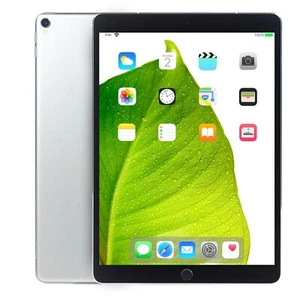 Apple iPad Pro Space Gray 10.5" 64GB Wi-Fi Touch Tablet MQDT2LL/A A1701 Grade B - Picture 1 of 8