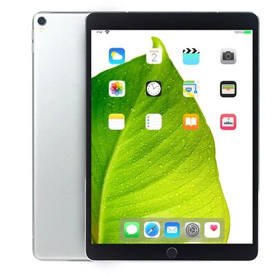 Apple iPad Pro Space Gray 10.5" 64GB Wi-Fi Touch Tablet MQDT2LL/A A1701 Grade B - Image 1 of 4
