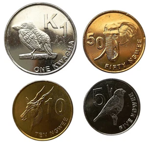 JUEGO DE 4 MONEDAS ZAMBIA 5 NGWEE - 1 KWACHA 2012 ANIMALES - Imagen 1 de 2