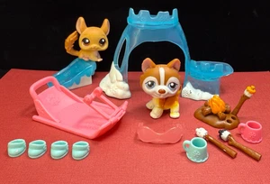 ❤ Littlest Pet Shop ❤ Arctic Adventure Set #340 & Husky#341 - Authentic LPS 2007 - Picture 1 of 11