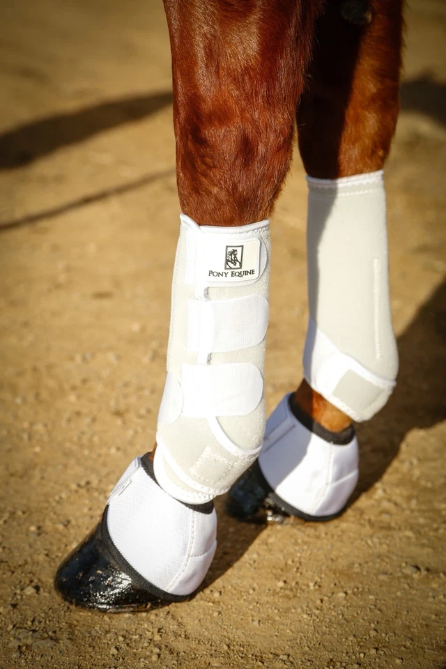 Pony Equine Horse Sports Boots Fronts - Bild 1 von 4