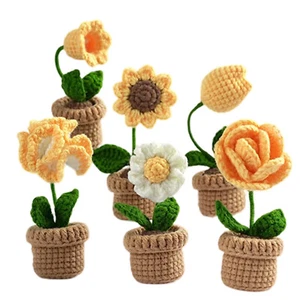 6Pc Crochet Potted Kit Potted Flowers Kit for Beginners DIY Potted Plants Craftଌ - Picture 1 of 21