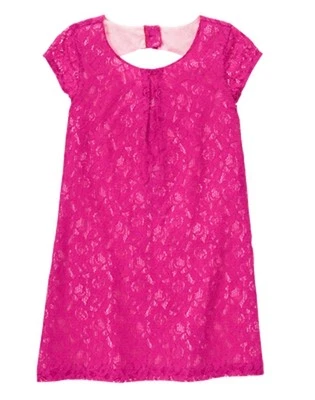 NWT Gymboree Family Brunch Lace Shift dress 4,5, 6,7,8,10,12 Wedding Easter Girl - Image 1 of 2