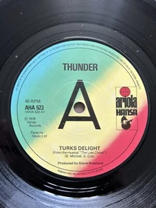 THUNDER TURKS DELIGHT 7" VINYL 1978 ADVANCE PROMO ARIOLA HANSA RECORDS AHA 523 - Picture 1 of 4