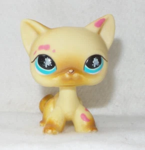 LITTLEST PET SHOP AUTHENTIC LPS #816 HASBRO CAT CHAT EUROPEEN BEIGE YEUX BLEU - Imagen 1 de 5