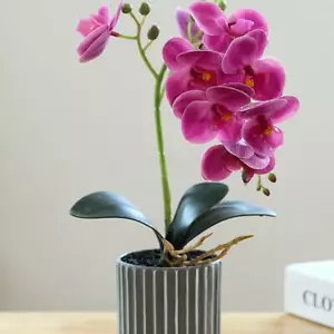 Bonsái de flores de orquídea artificial con maceta Phalaenopsis maceta oficina en casa - Imagen 1 de 28
