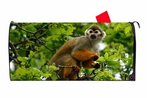Monkey 1 Vinyl Magnetic Mailbox Cover Made in the USA - Picture 1 of 1