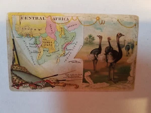 Arbuckle's Coffee Central Africa Country Map Vtg. Trade Card #63 Cheetah Hunting - Picture 1 of 3