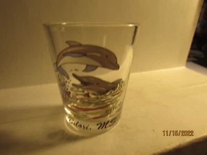 Biloxi, MS - Szene von Dolphin's Standard Schnapsglas - Neu - Bild 1 von 4