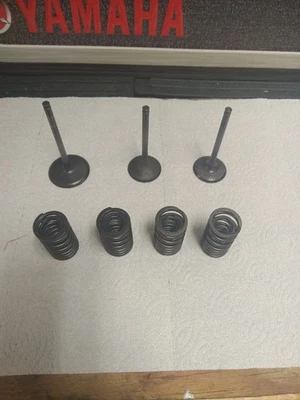 19-23 Kawasaki KX450 Intake Exhaust Valve Titanium Springs OEM  Cylinder Head 22 Foto 1 de 4