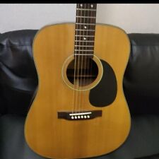 Electric Acoustic Guitar History HEG25N Natural for sale