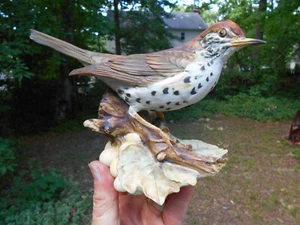 Tay Italy Porcelain Bisque Sculpture Wood Trush Bird BIG 7 1/2" long - Picture 1 of 5